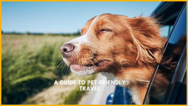 A Guide to Pet-Friendly Travel:  Exploring the World with Your Furry Friend